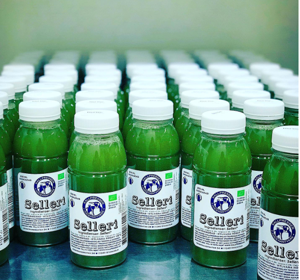 Selleri (4 Pack)- Ekologisk Kallpressad juice