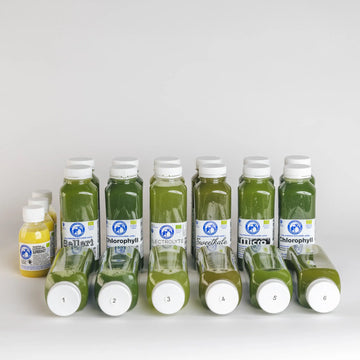 JUICEFASTA med 6juicer+1shot/dag ekologisk kallpressad juicepaket